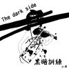 The dark side(chinese)  的封面的封面